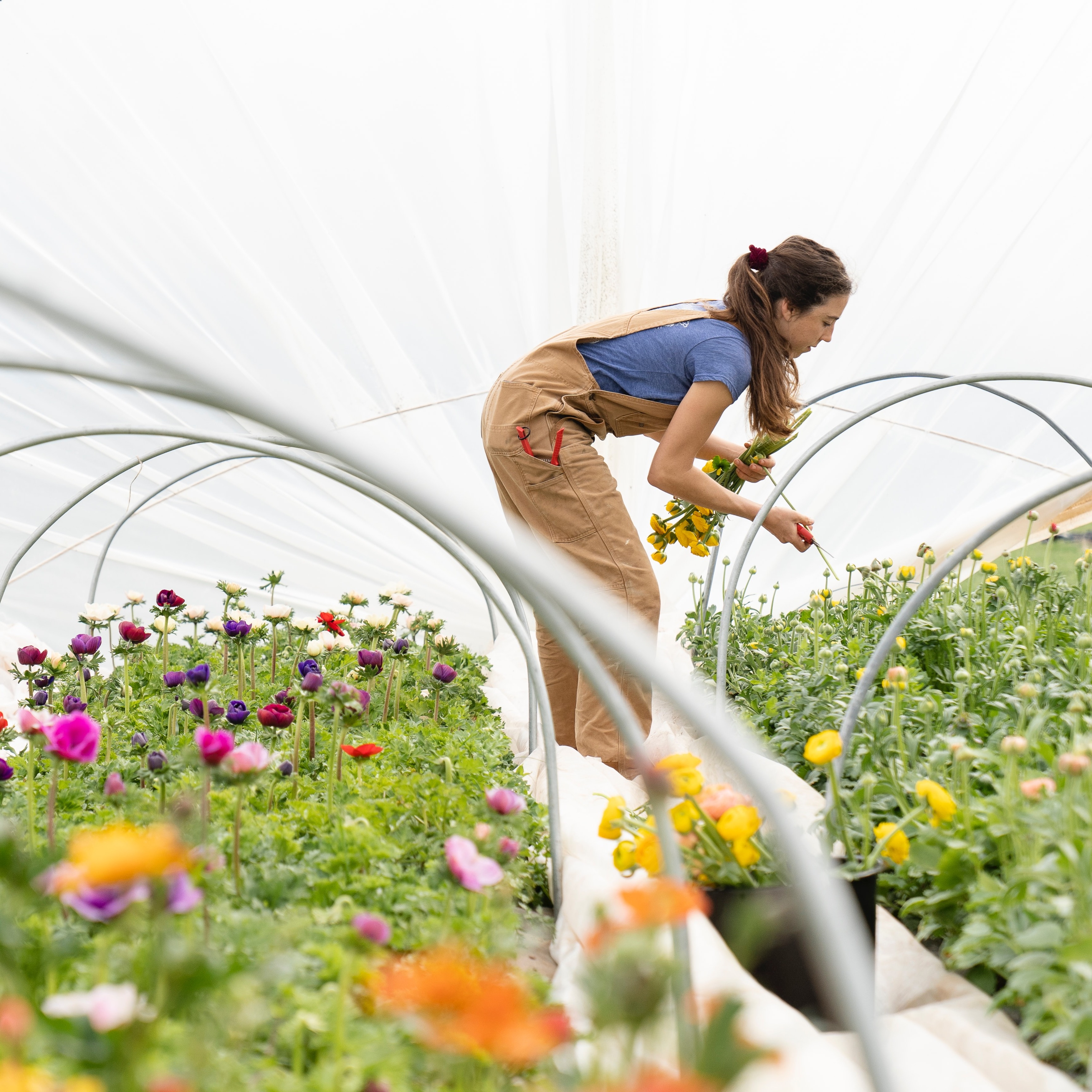 Varios perfiles para video corporativo